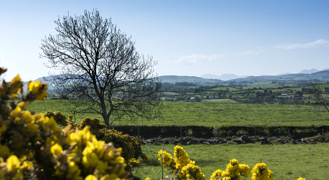 Hunters-Chase-mournes.jpg